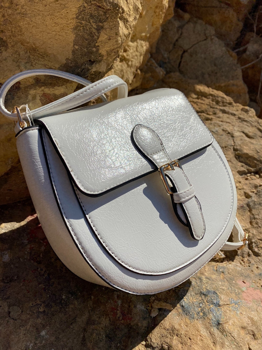 The Andorra Buckled Mini Bag